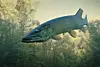 DEC pauses construction projects in Vermont lakes during spring fish ...