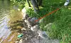 DEC pauses construction projects in Vermont lakes during spring fish ...